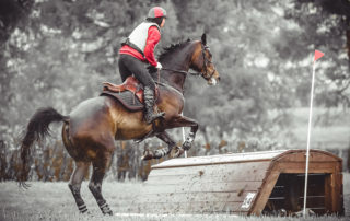 a show horse and rider jumping over a wooden jump