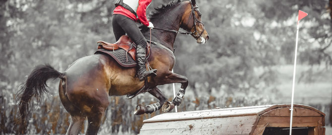 a show horse and rider jumping over a wooden jump