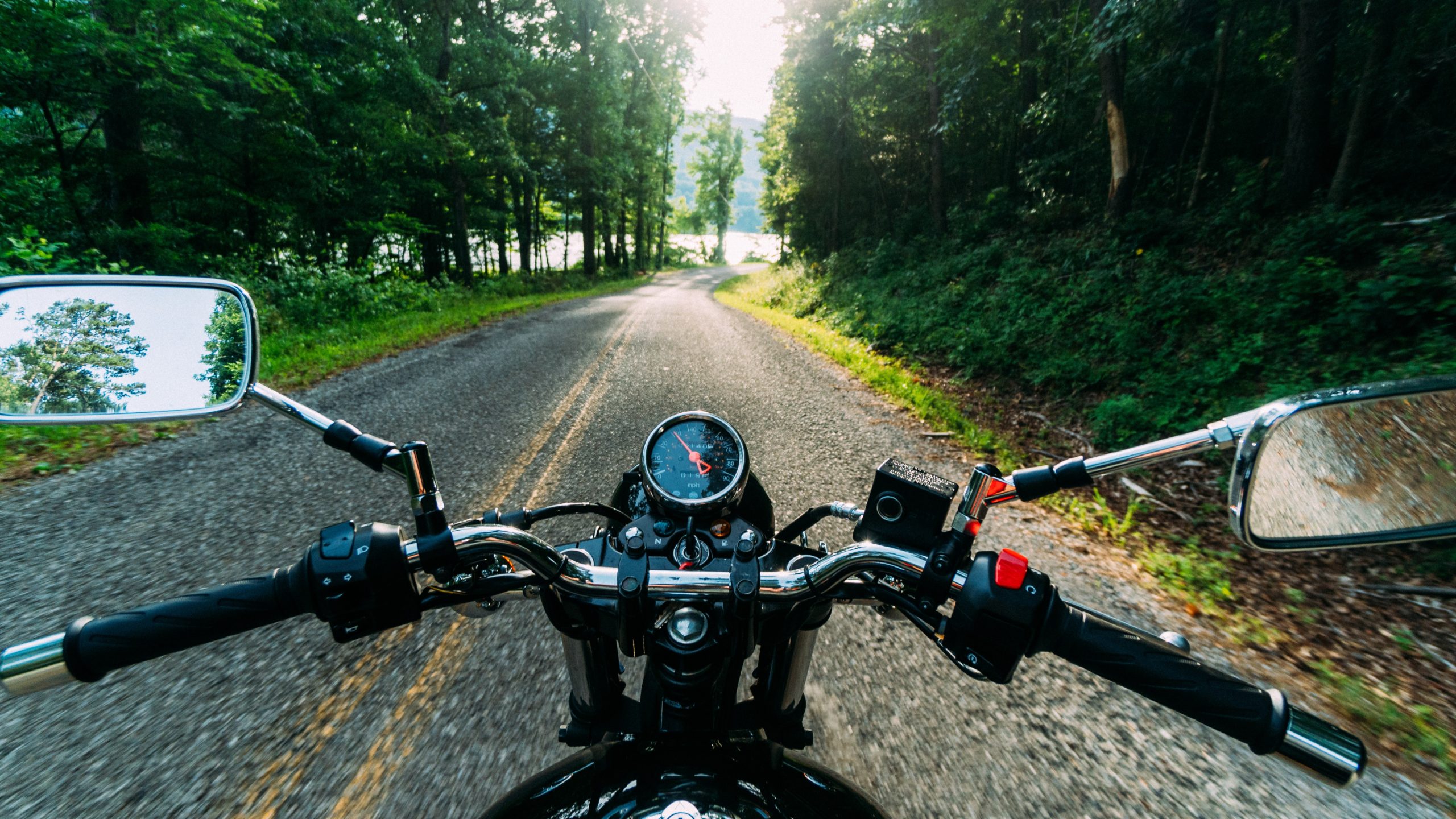 driver point of view on a motorcycle on road through woods